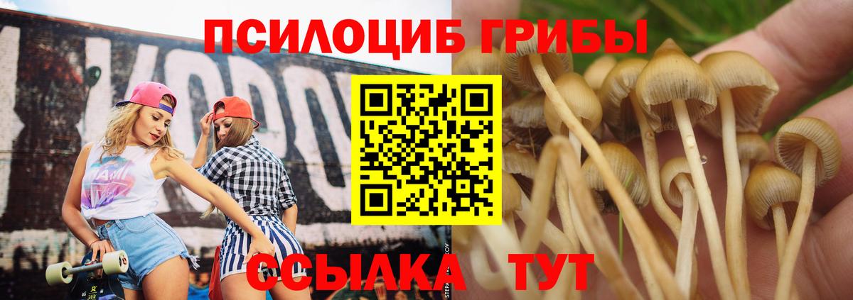 Псилоцибиновые грибы MAGIC MUSHROOMS Донской