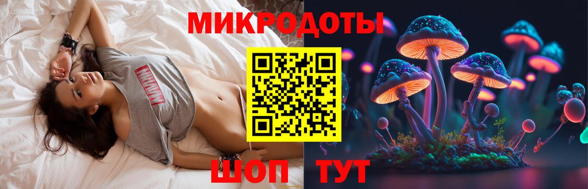 Донской  Псилоцибиновые грибы Cubensis  Вход с VPN 